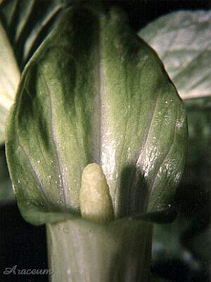 2000-03