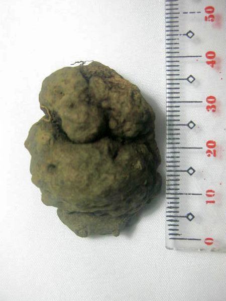 Rozmiar: 43214 bajt�w