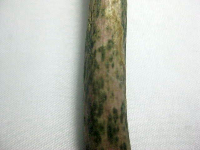 Rozmiar: 32523 bajt�w