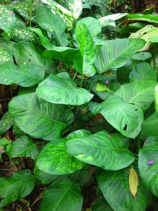 Rozmiar: 104505 bajt�w